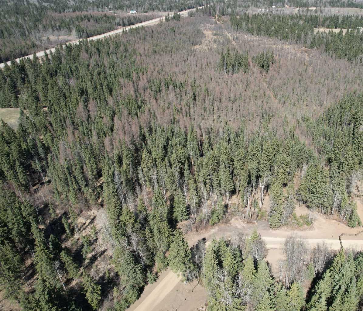 On Highway 2A — photo 1