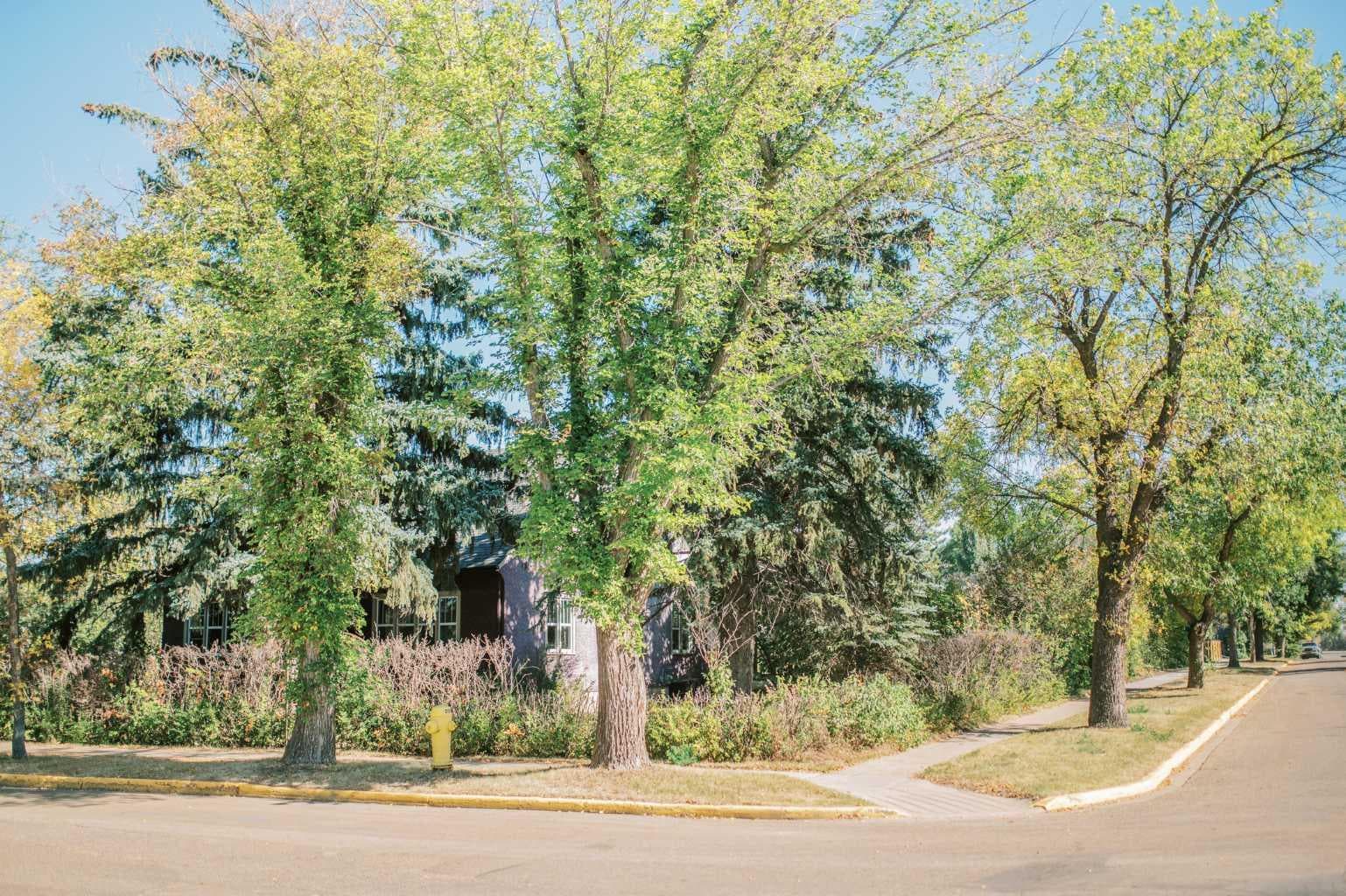 4901 48 Street S — photo 4