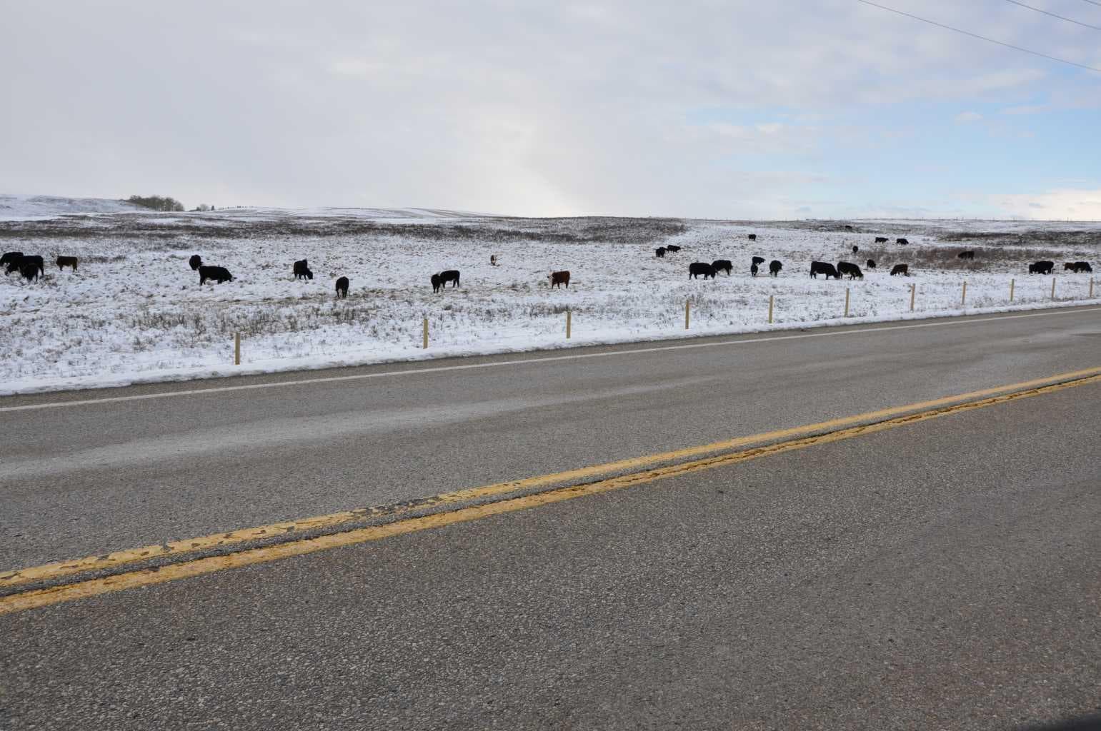 Range Road 14 Big Hill Springs — photo 2