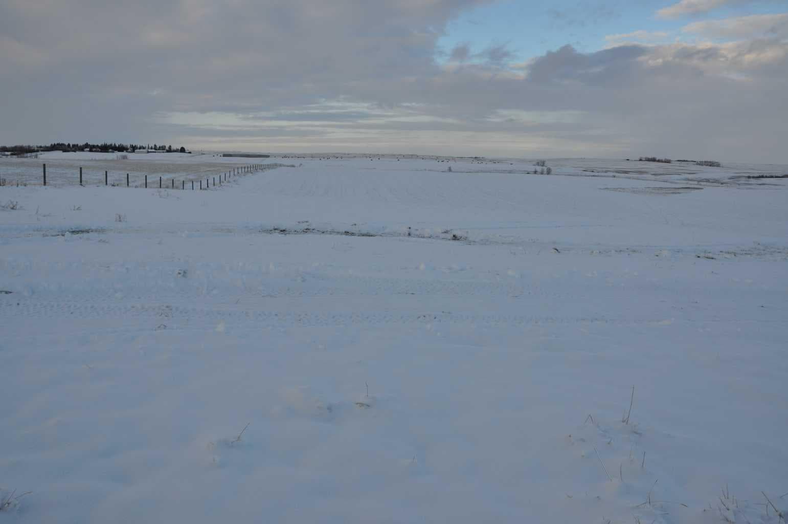 Range Road 14 Big Hill Springs — photo 4