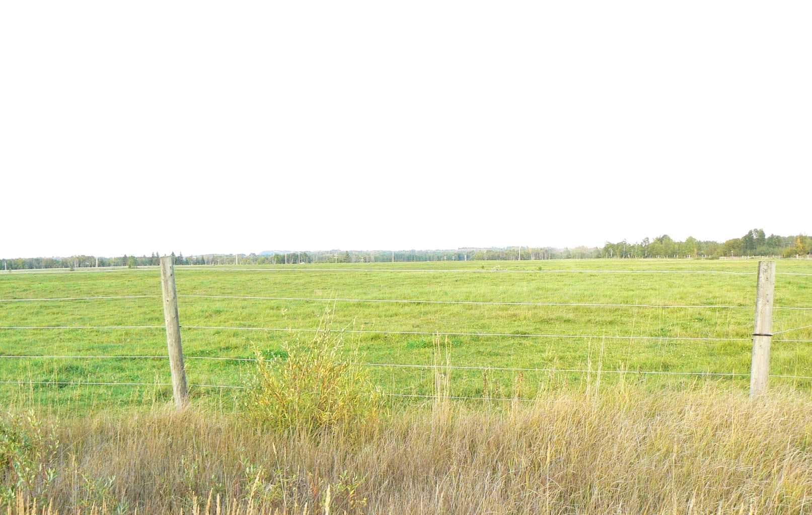 394075 Range Road 5-5 — photo 2