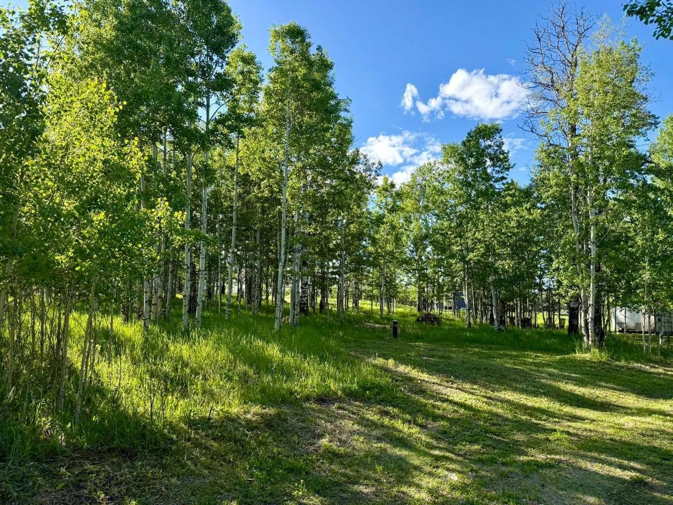 3, 5228 Highway 579 — photo 1