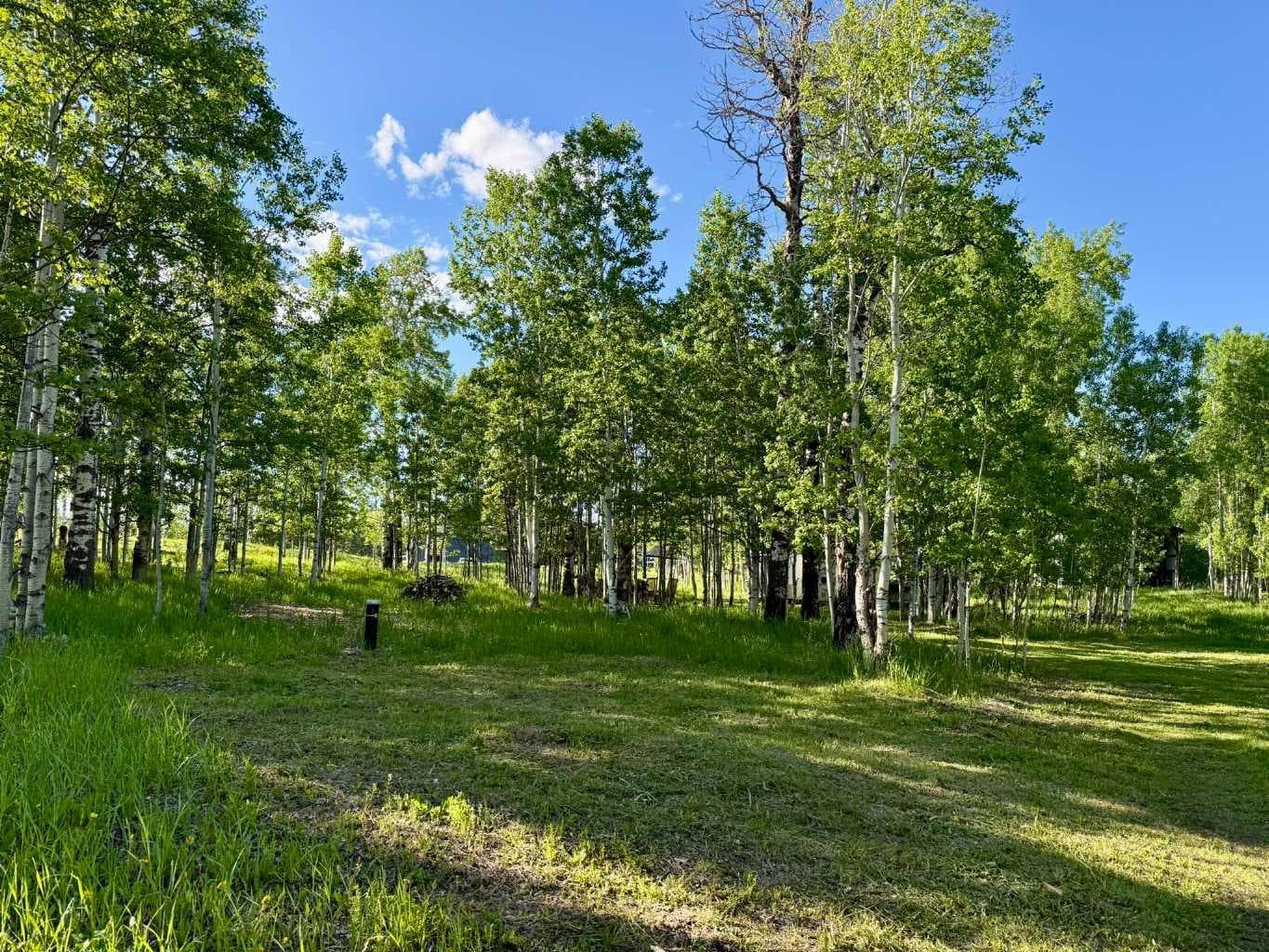 3, 5228 Highway 579 — photo 4