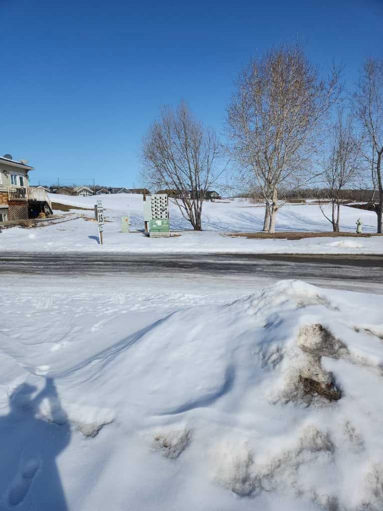 4072, 25054 South Pine Lake Road — photo 3