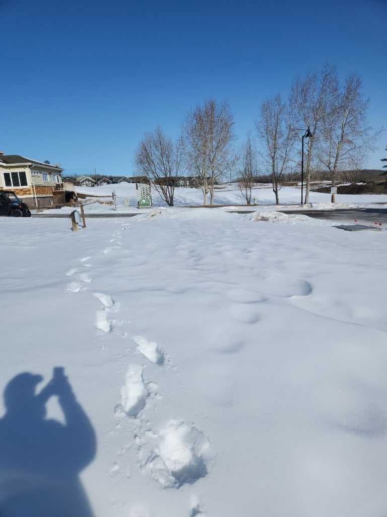4072, 25054 South Pine Lake Road — photo 4