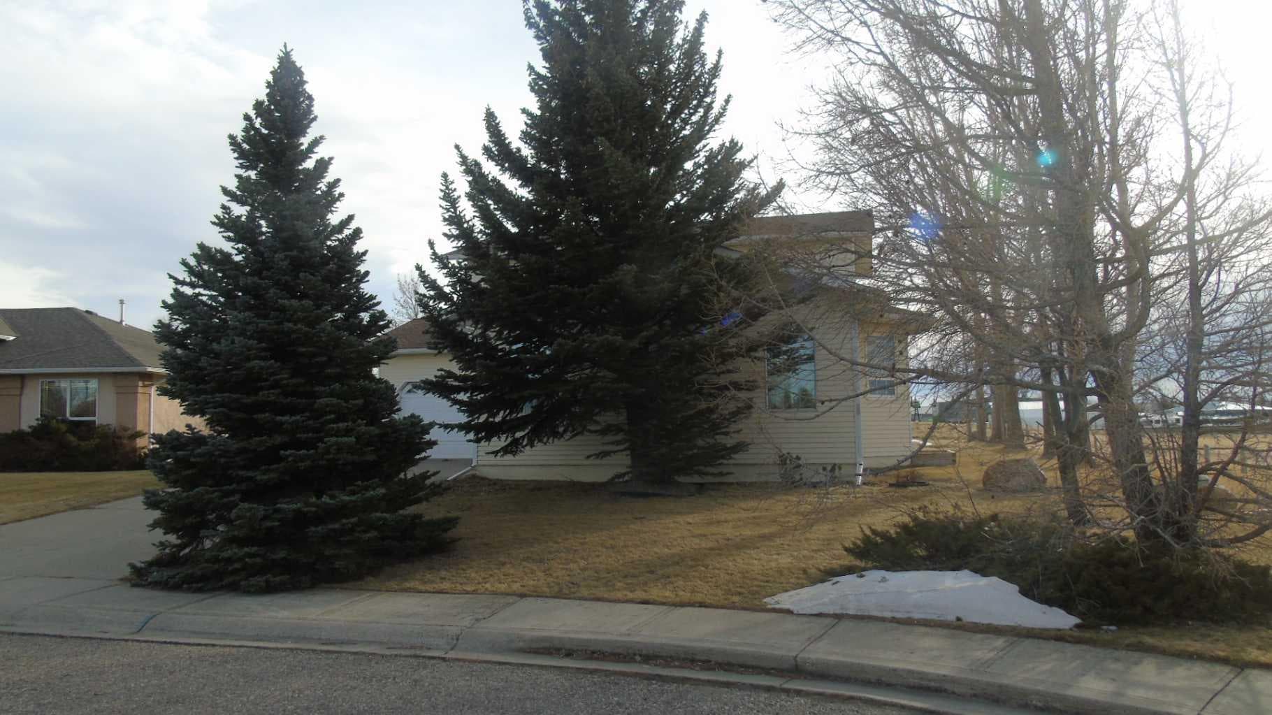 1604 7A Avenue — photo 2