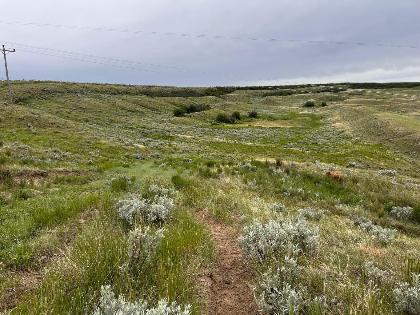 NE, NW 27 20 1 W4, All Sec 28 20 1 W4, SE 29&SE 34 — photo 3