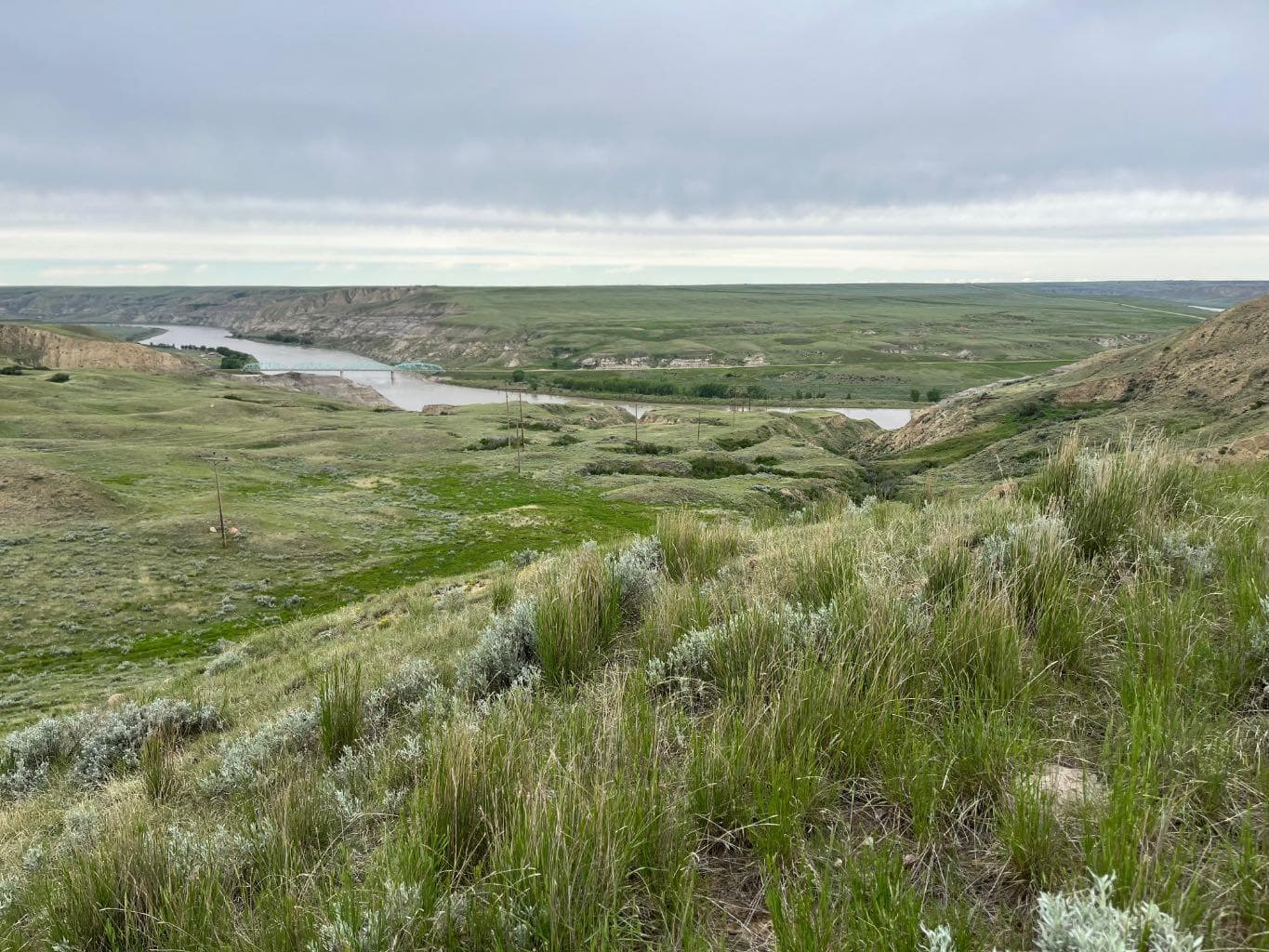 NE, NW 27 20 1 W4, All Sec 28 20 1 W4, SE 29&SE 34 — photo 4