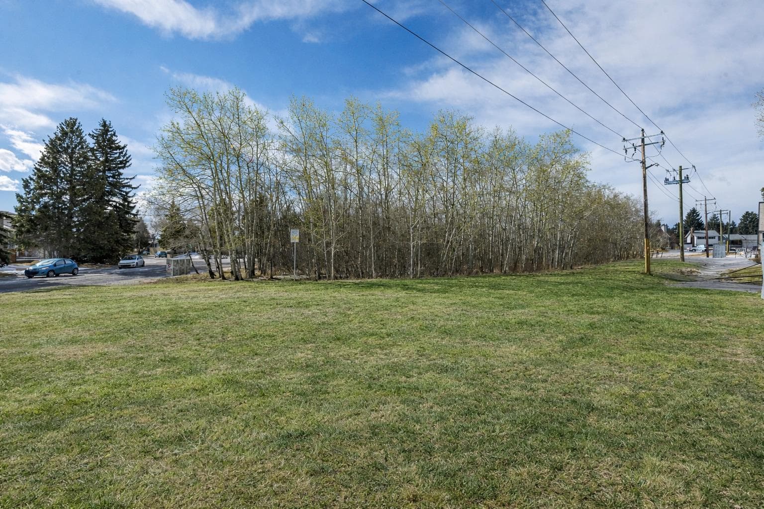 118 Brae Glen Lane SW — photo 5