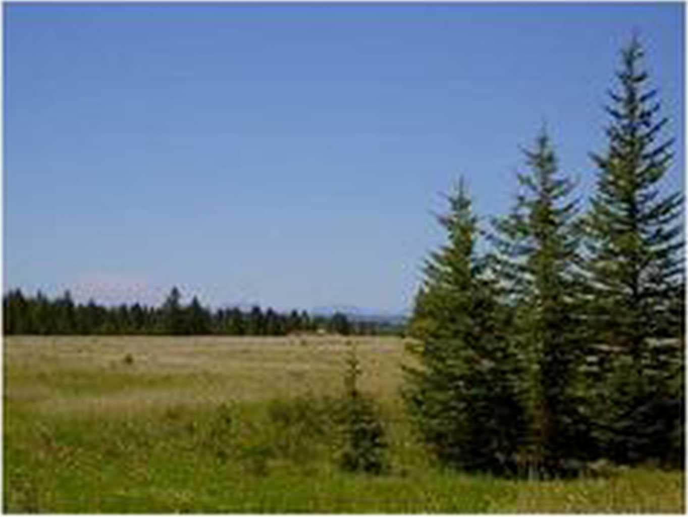 Range Road 55 — photo 1