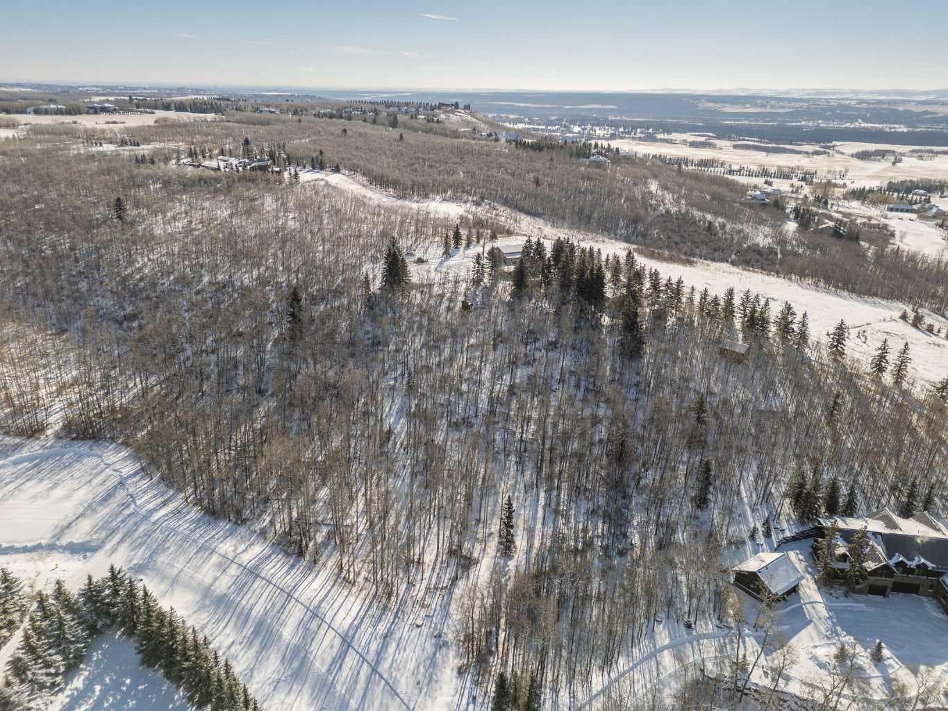 25151 Escarpment Ridge View — photo 5