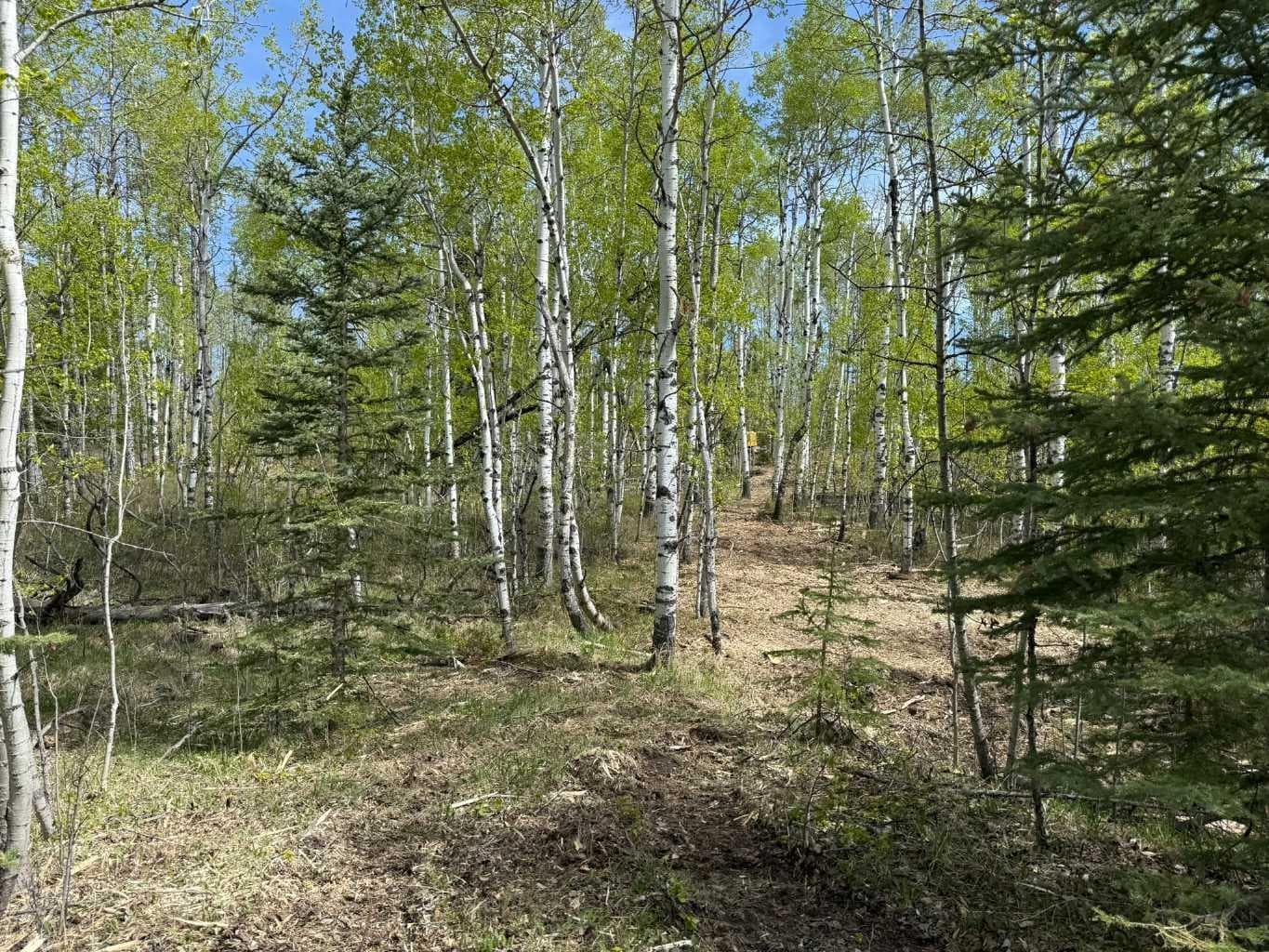 40, 29066 Range Road 52 — photo 1