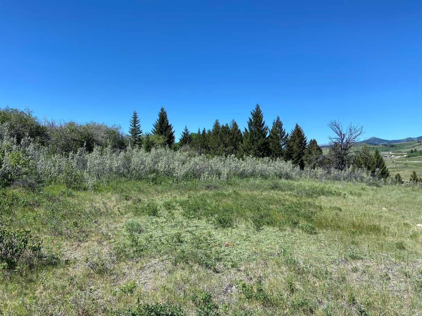 6 Rustler's Ridge — photo 4