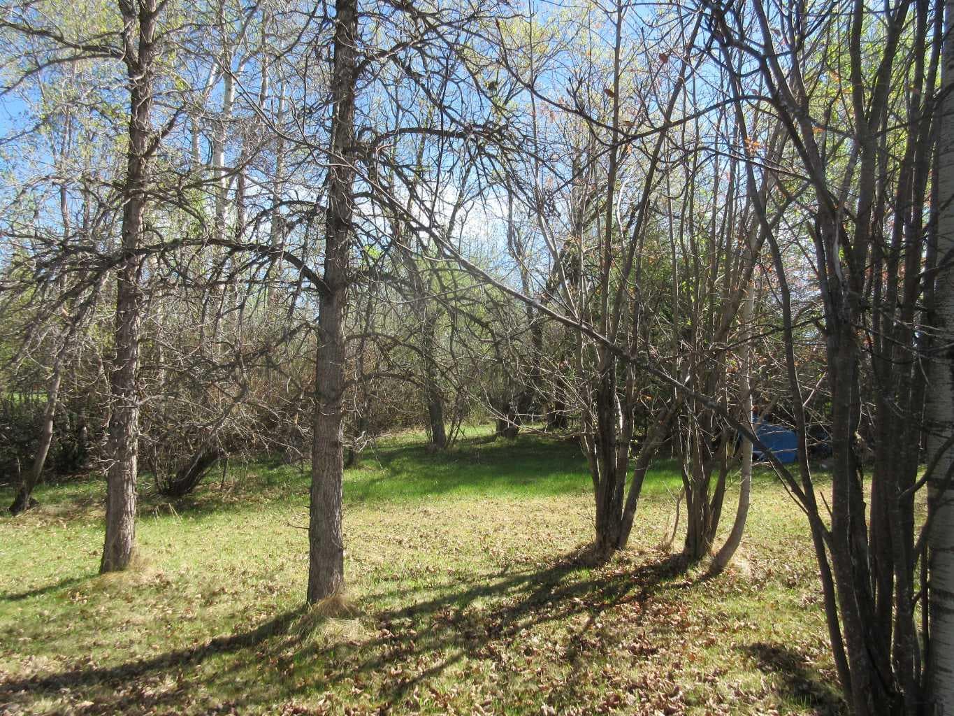 71037 Township Road 39-3 — photo 3