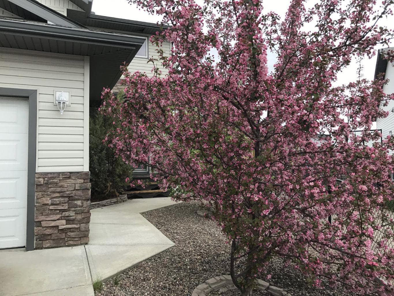 220 Hillcrest Court — photo 2
