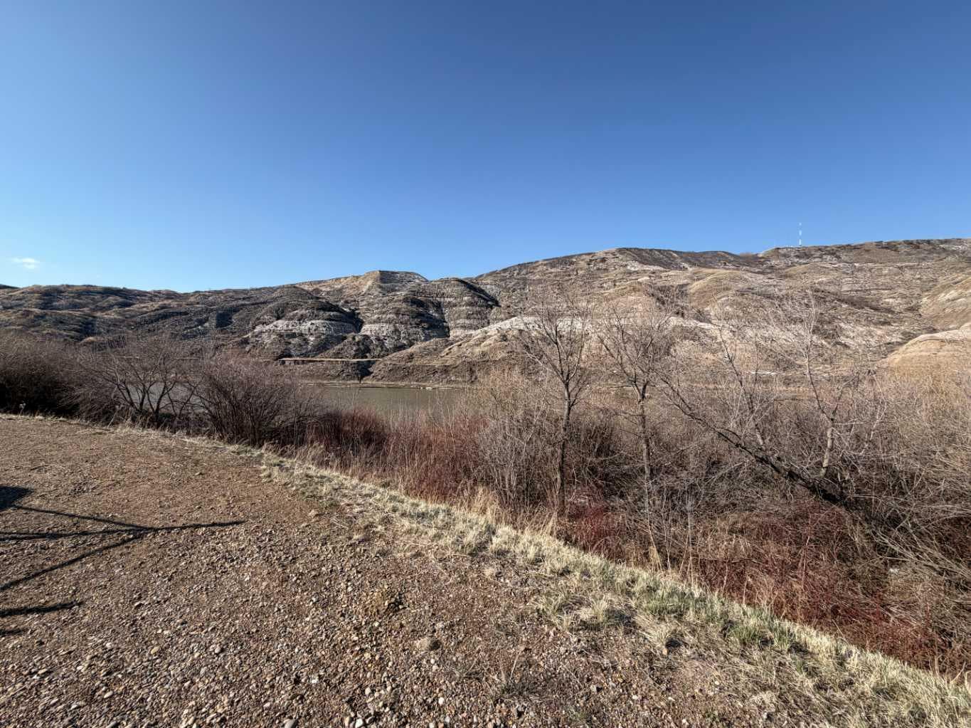 424 River Drive — photo 4