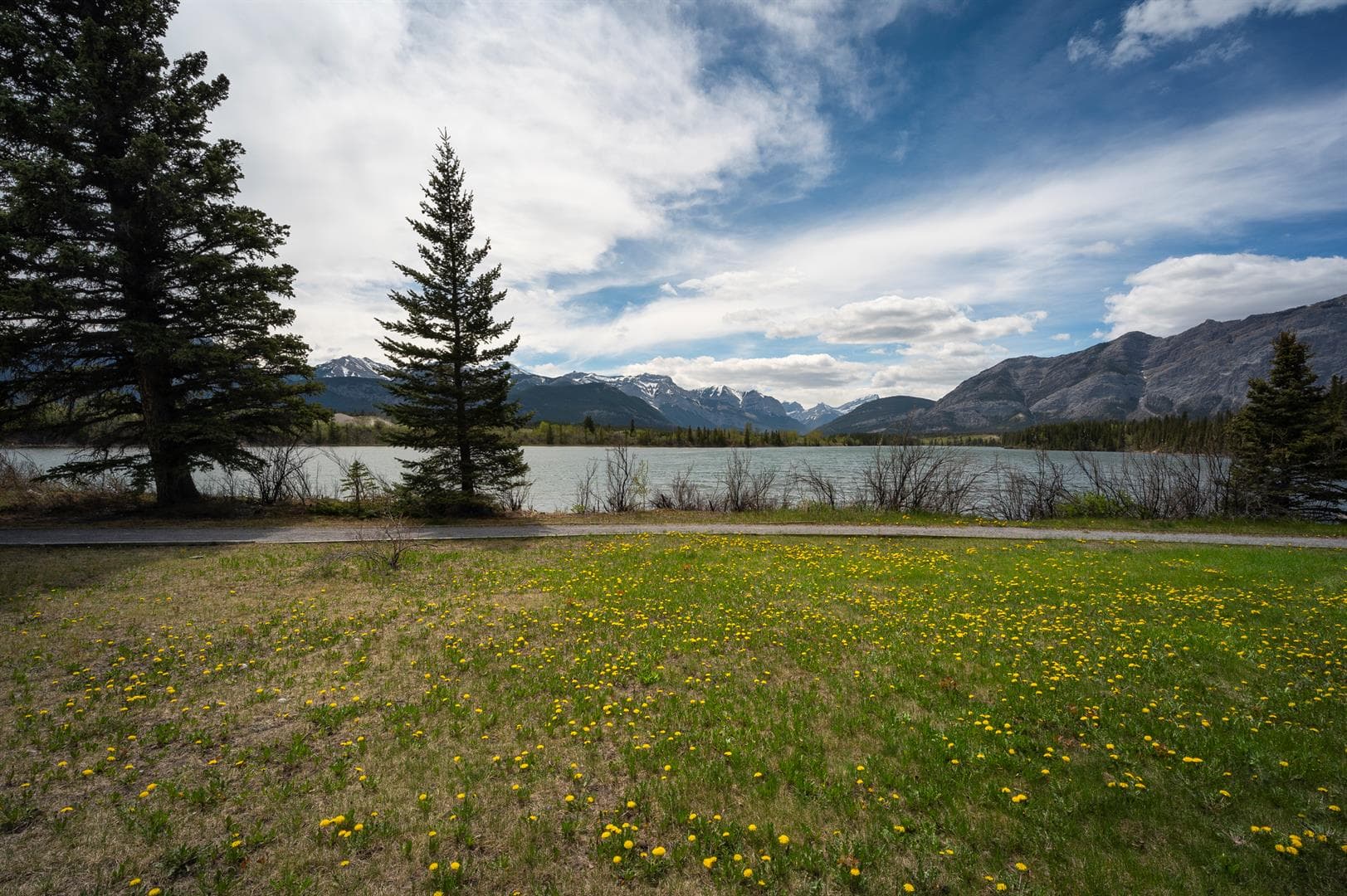 25 Bagley Pass — photo 2