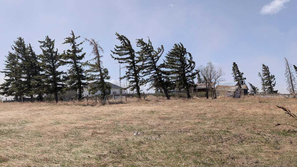 224074 Twp Rd 322 — photo 4