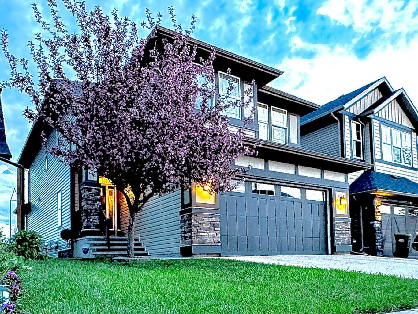 Detached in Chaparral