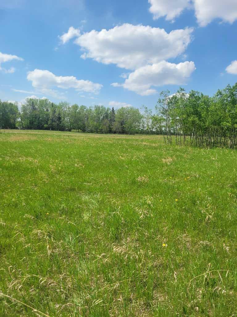 24166 Old Banff Coach Road — photo 5