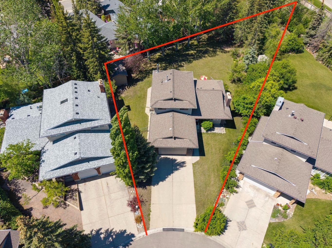 Detached in Silver Springs