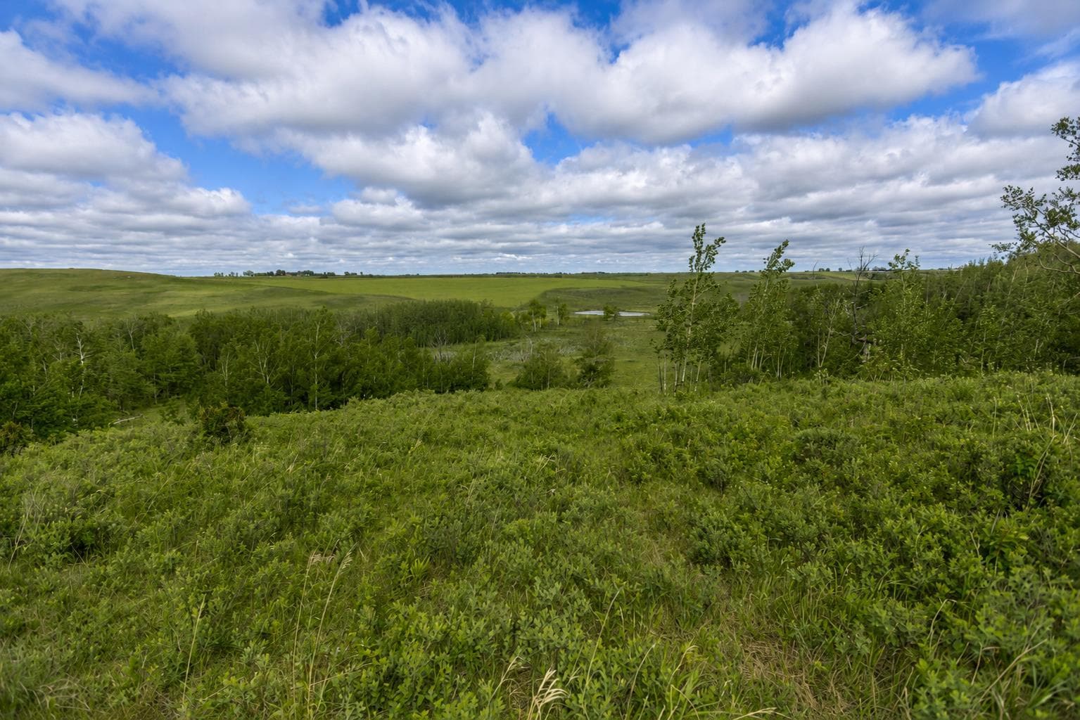 16, 30480 Range Road 12 — photo 4