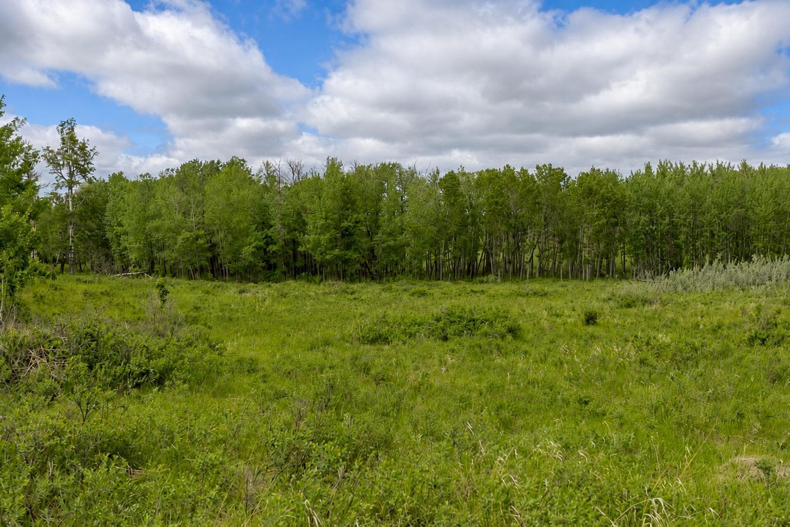16, 30480 Range Road 12 — photo 5