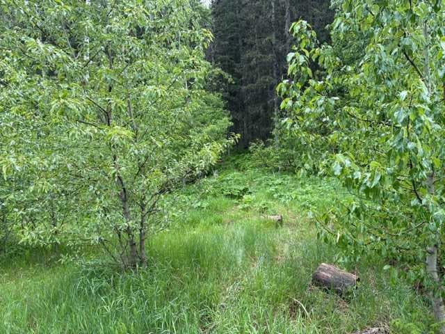 229 Mountain Lion Drive — photo 1