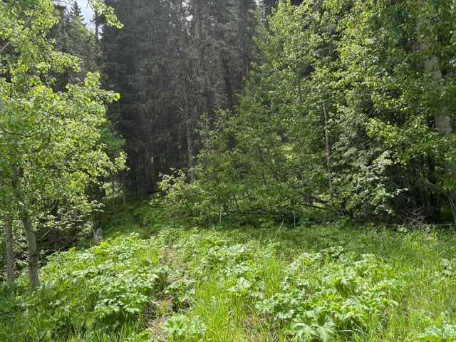 229 Mountain Lion Drive — photo 2