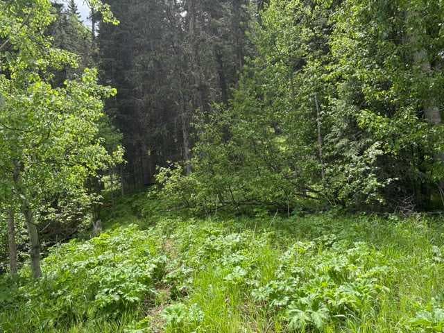 229 Mountain Lion Drive — photo 3