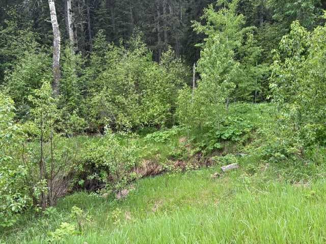 229 Mountain Lion Drive — photo 4