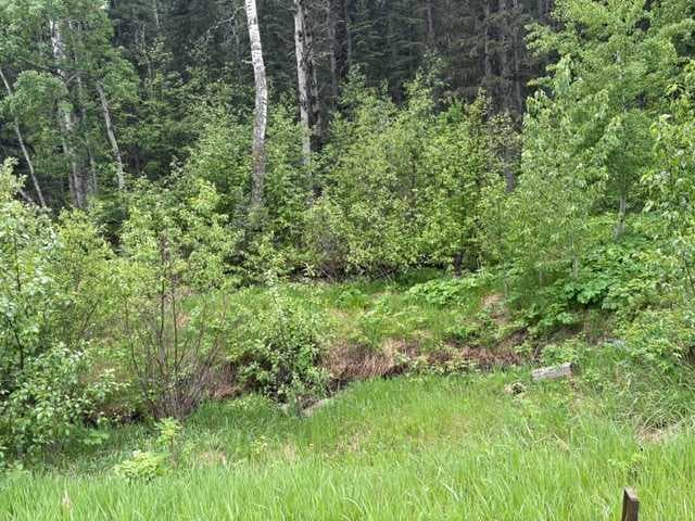 229 Mountain Lion Drive — photo 5