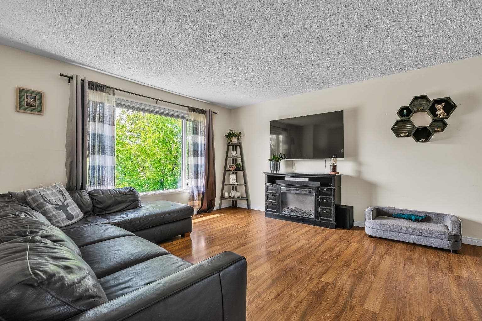 502 Maplewood Drive — photo 5