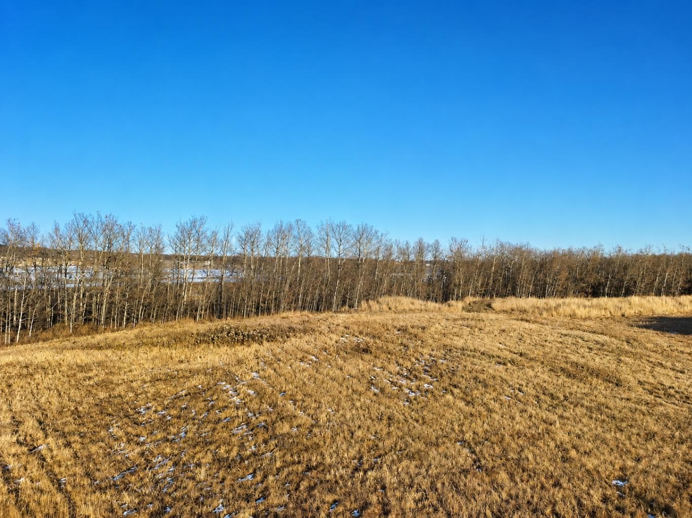 Lot 9, 5130 40 Avenue — photo 5
