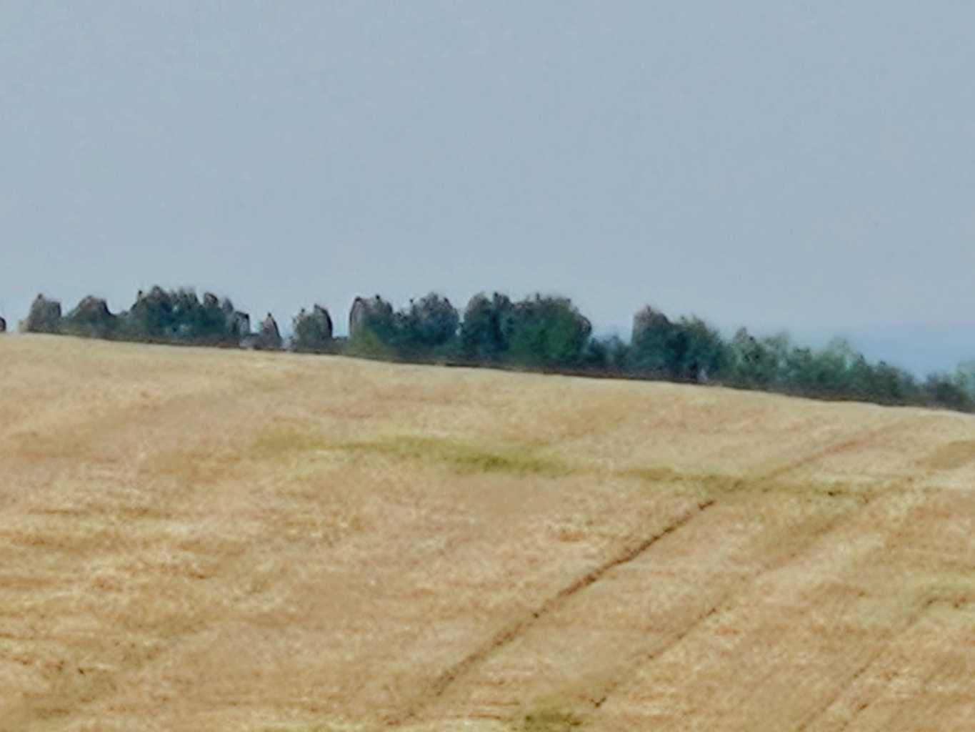 Symons Valley — photo 3