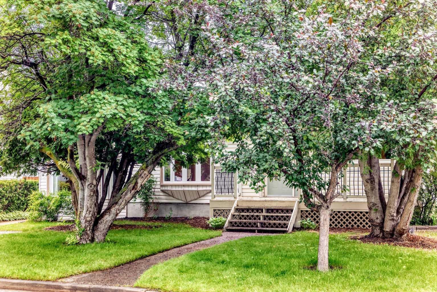 3721 44A Avenue — photo 4
