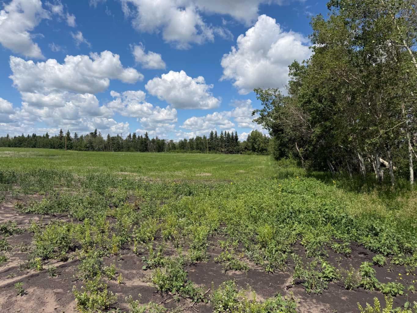 1 422028 Range Road 255 — photo 1