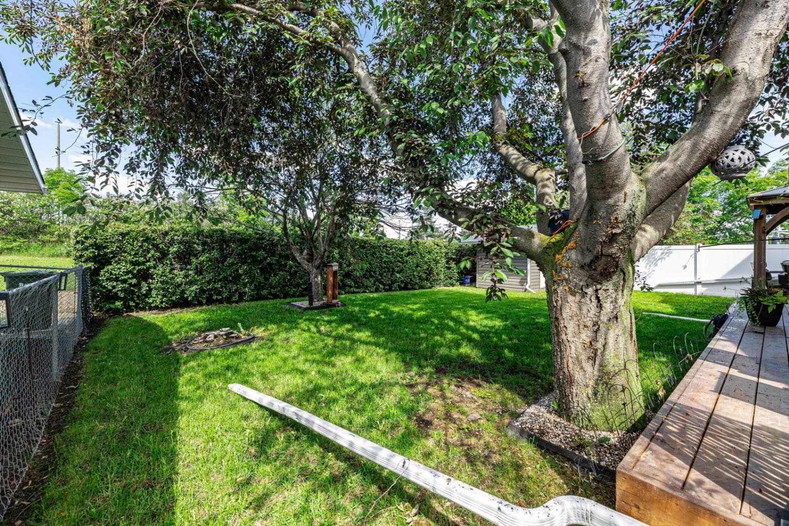 78 Dunning Crescent — photo 4