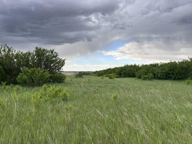 164 — photo 3