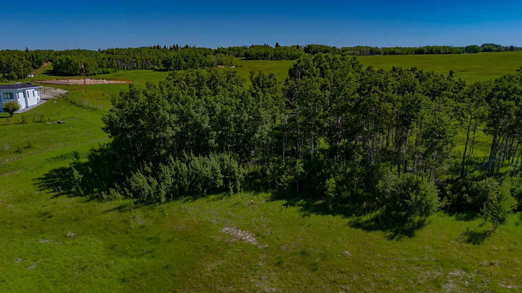 32103 Badger Road — photo 4