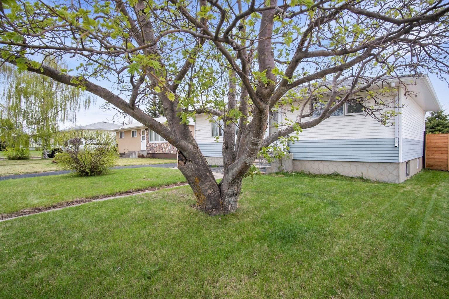 5417 50 Street — photo 3