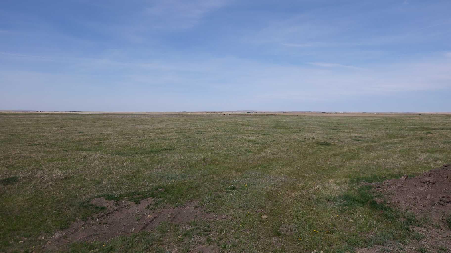 Vulcan county — photo 2