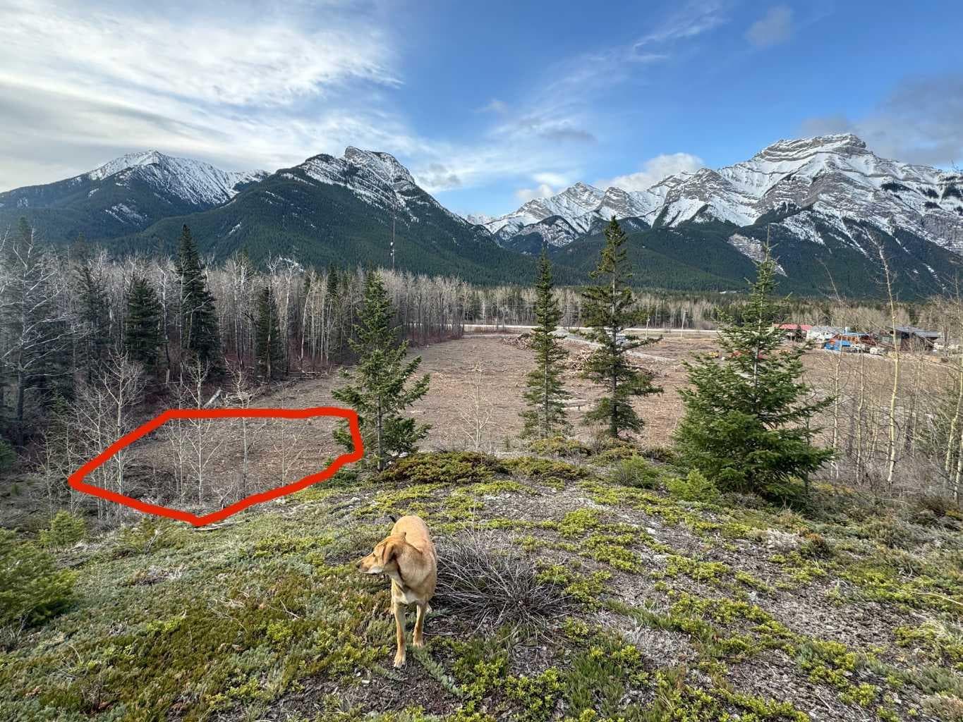 16 Yamnuska Place — photo 1