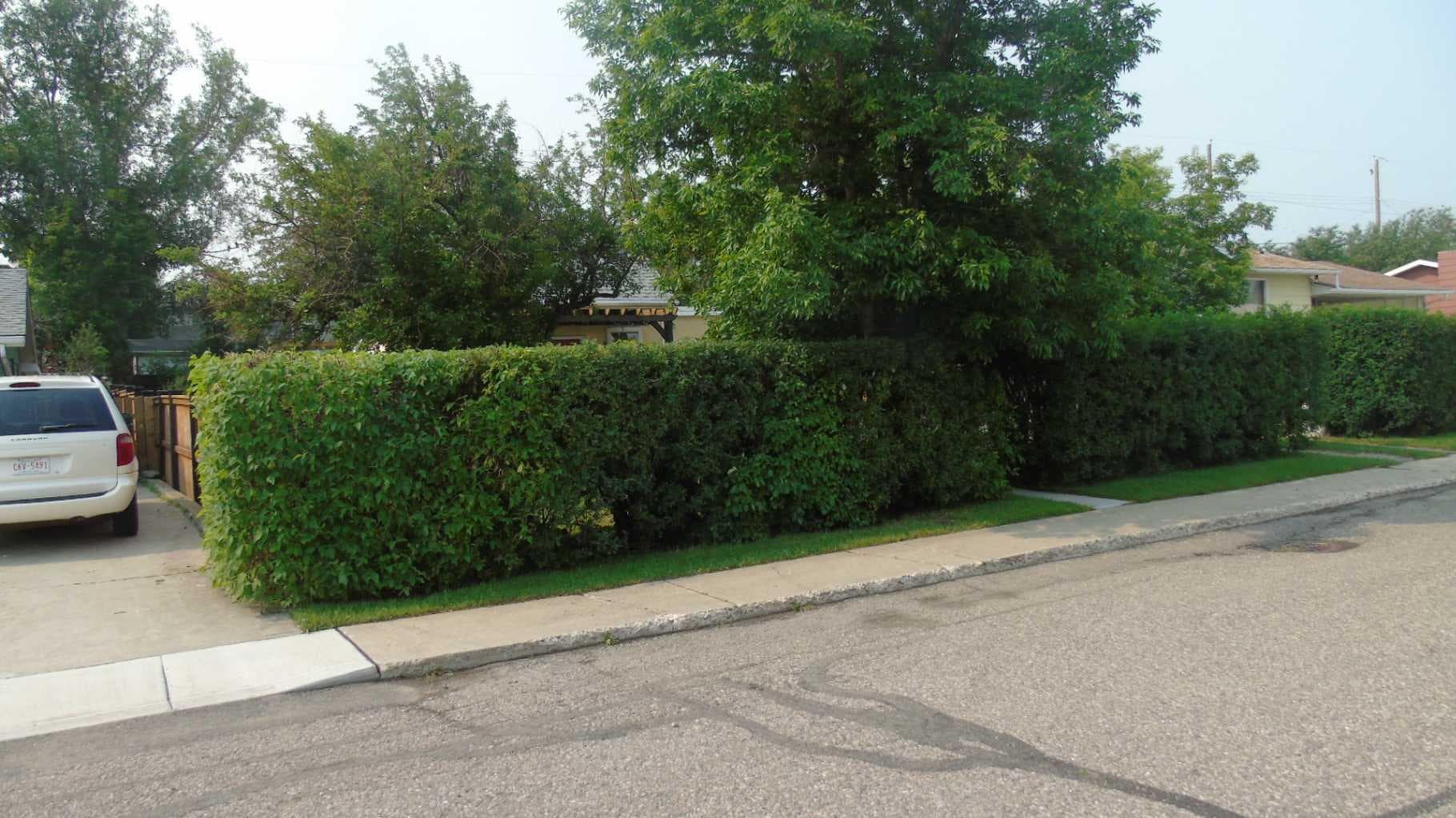 536 22 Street — photo 2