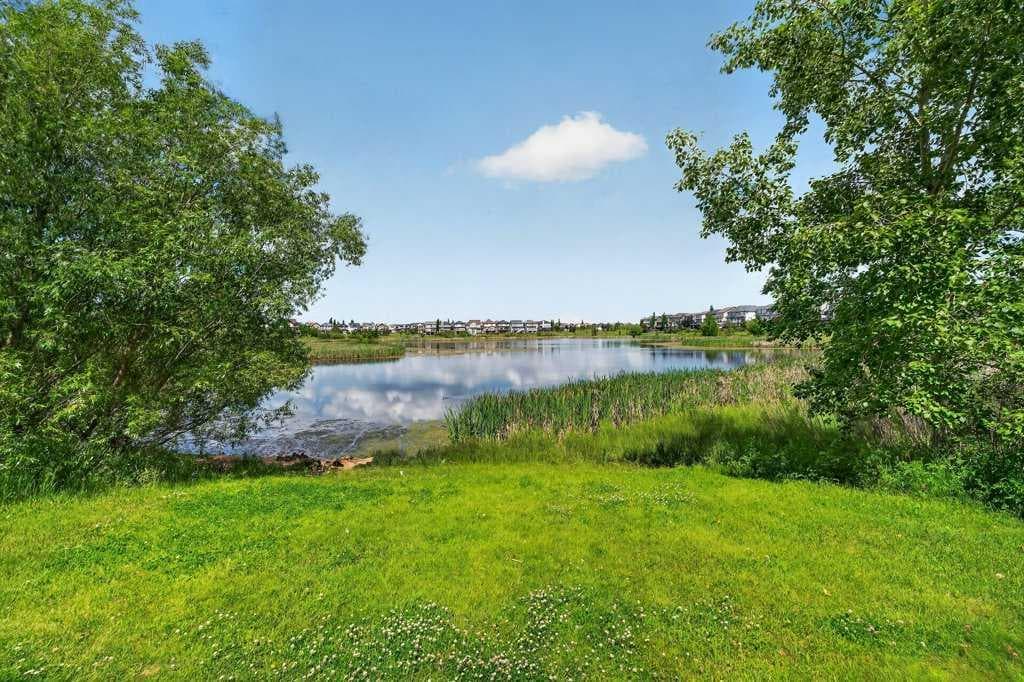 Detached in Copperfield