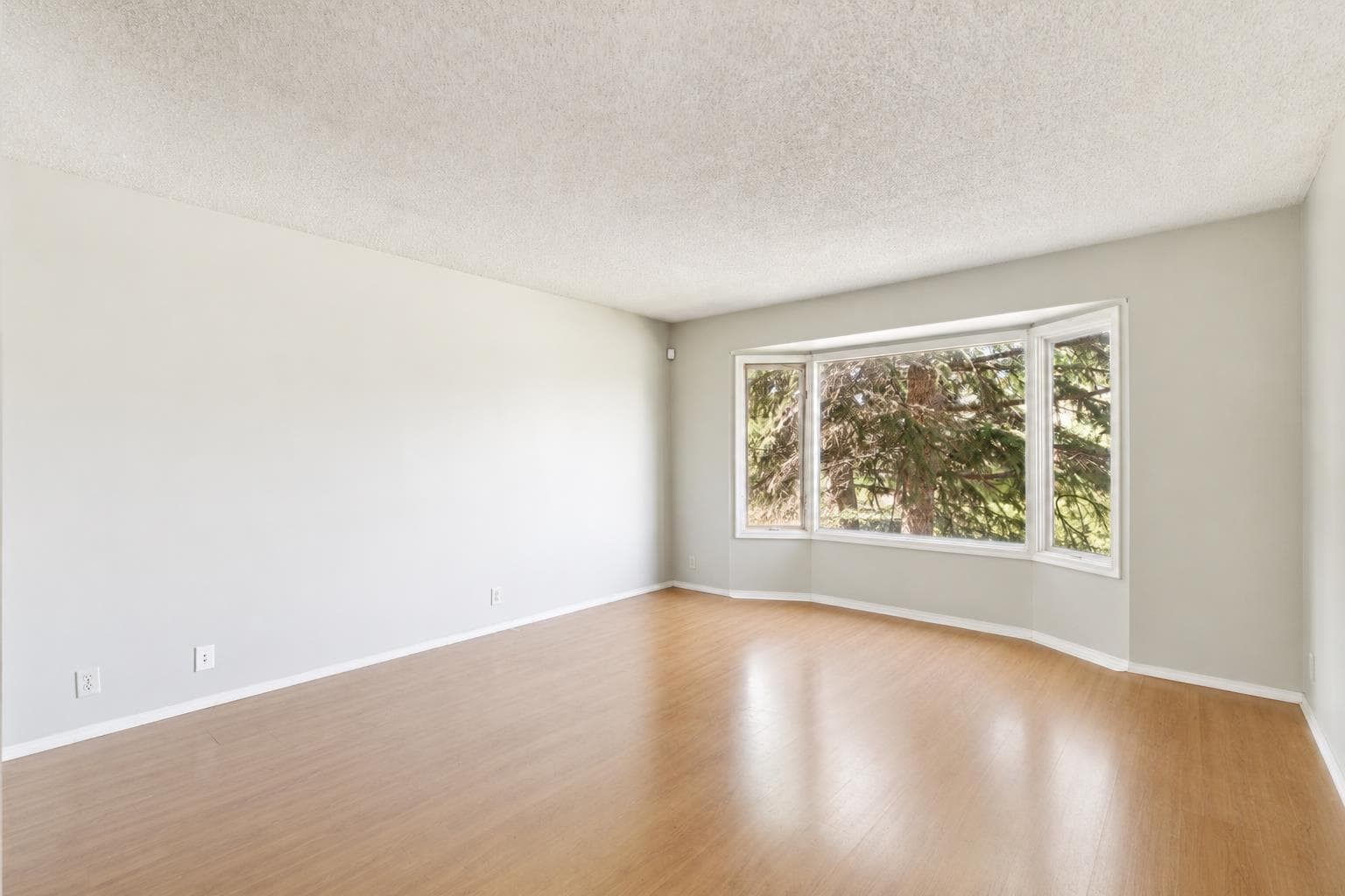864 Queensland Drive SE — photo 5