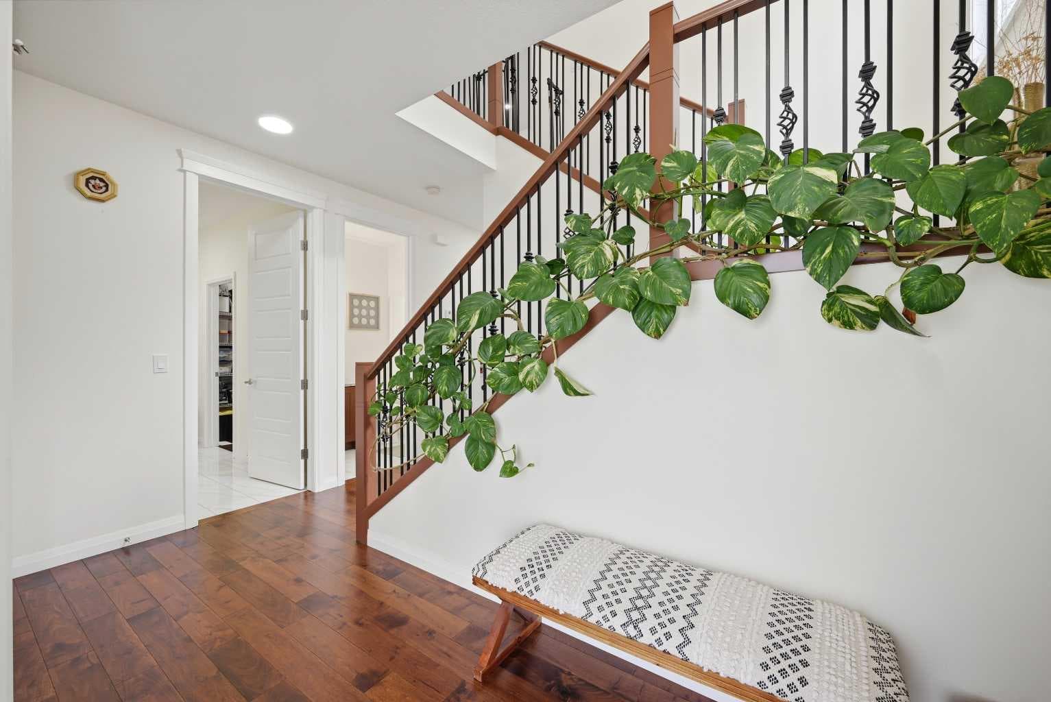 838 Edgefield Street — photo 4