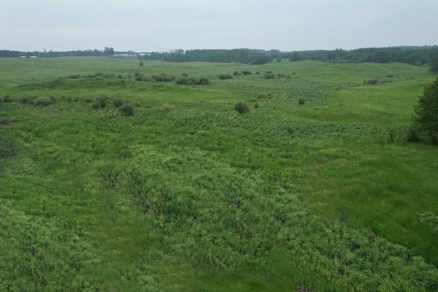 ON Township Road 422 Lot 7 — photo 2