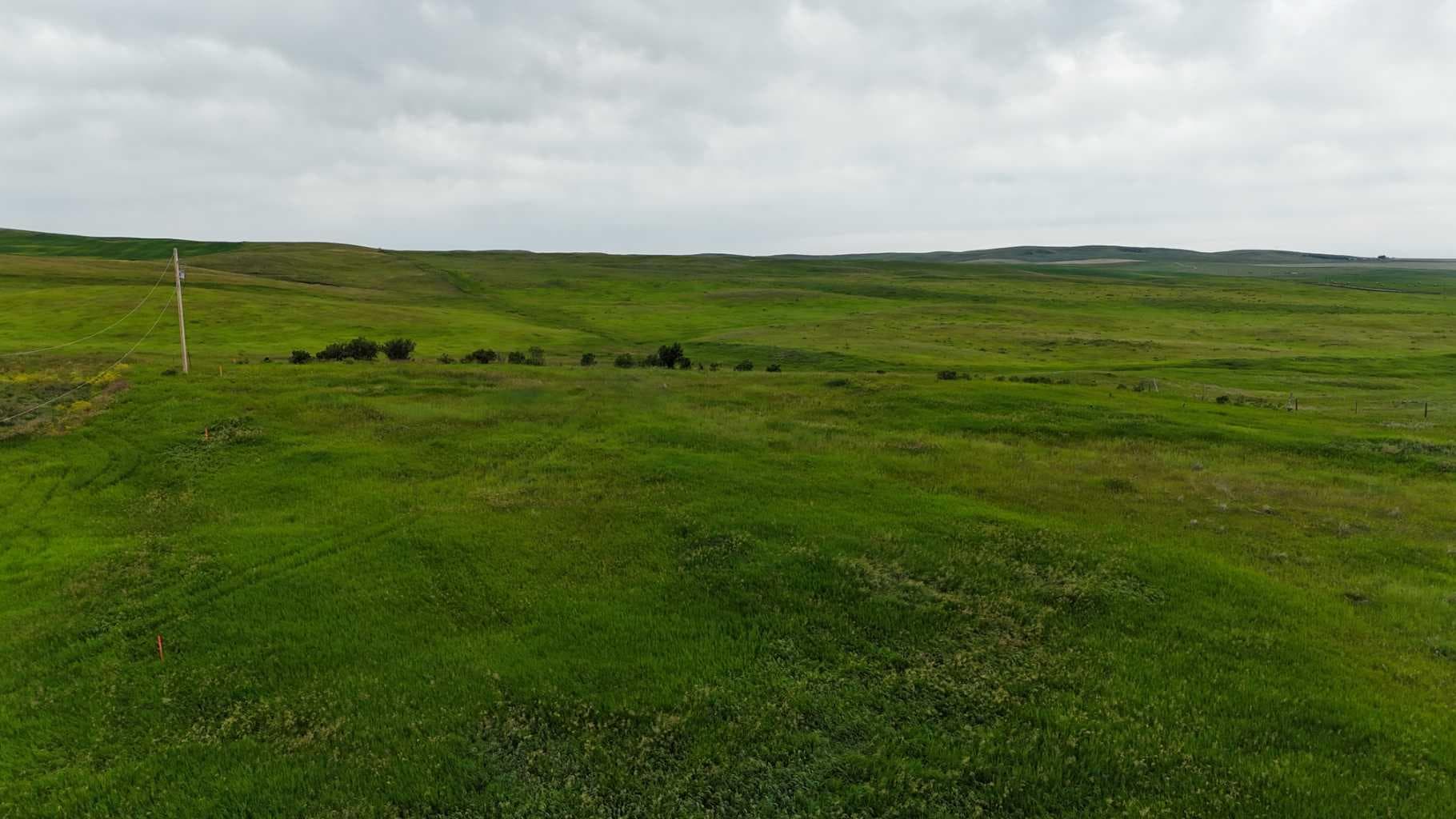 252 Range — photo 3