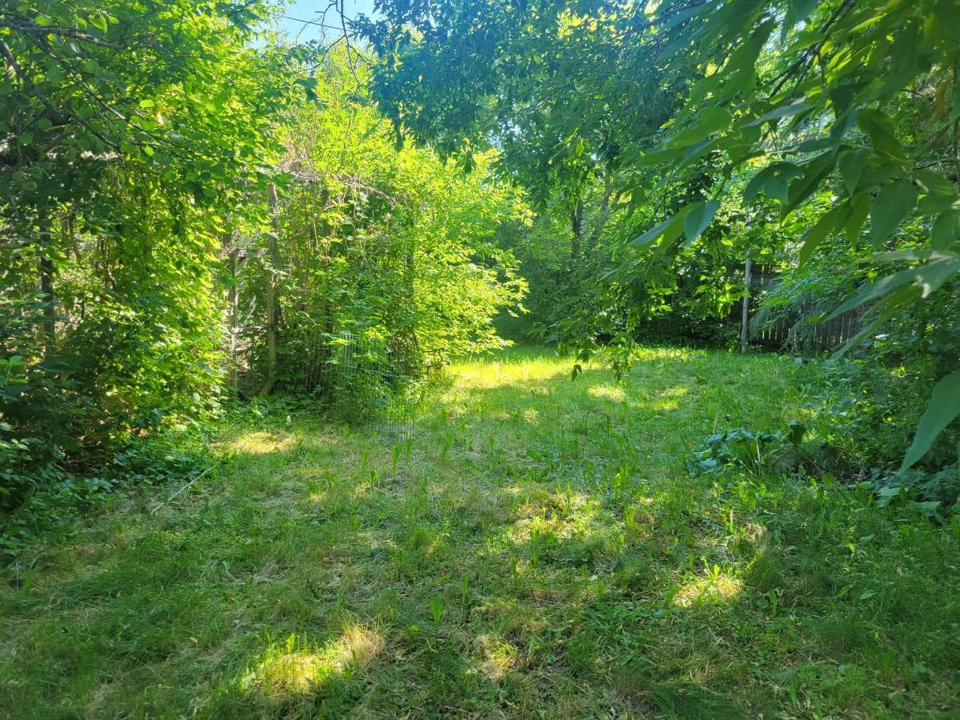 1 Elm Avenue — photo 3